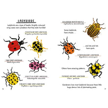 Load image into Gallery viewer, Hello Bugs - Nina Chakrabarti