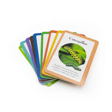 Load image into Gallery viewer, The Gruffalo Bug Spotter Activity Set