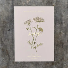 Load image into Gallery viewer, Garden seeds - Botanique Workshop
