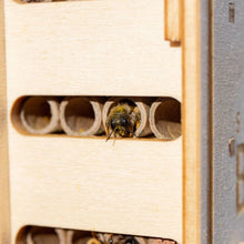 Load image into Gallery viewer, DIY Bee Hotel Kit - Beevive