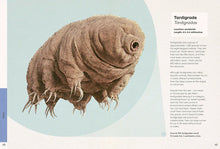 Load image into Gallery viewer, Weird and Wonderful - Ben Rothery