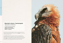 Load image into Gallery viewer, Weird and Wonderful - Ben Rothery