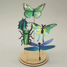 Load image into Gallery viewer, Assembli 3D Paper Puzzle - Insect Sets