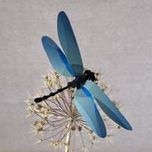Load image into Gallery viewer, Assembli 3D Paper Puzzle - Dragonfly
