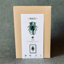 Load image into Gallery viewer, Assembli 3D Paper Puzzle - Cicada