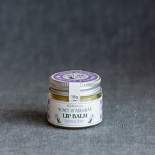 Load image into Gallery viewer, Chain Bridge Honey Farm - Honey & Beeswax Natural Lip Balm