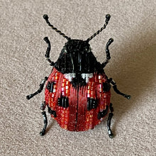 Load image into Gallery viewer, Ladybird Brooch - Trovelore