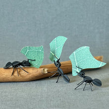 Load image into Gallery viewer, Assembli 3D Paper Puzzle - Leafcutter Ants