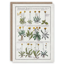 Load image into Gallery viewer, The Pattern Book Greetings Cards