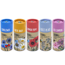 Load image into Gallery viewer, Wildflower Seedball Tube
