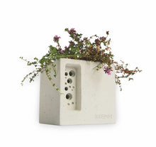 Load image into Gallery viewer, Beepot Mini - Green & Blue