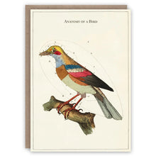 Load image into Gallery viewer, The Pattern Book Greetings Cards