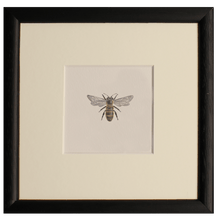 Load image into Gallery viewer, Bee print - Claire Vaughan Designs