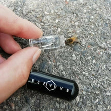 Load image into Gallery viewer, Bee Revival Kit Keyring - Beevive