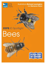 Load image into Gallery viewer, Bees - RSPB ID Spotlight