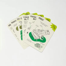 Load image into Gallery viewer, Hello Nature Activity Cards - Nina Chakrabarti