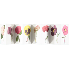 Load image into Gallery viewer, Postcard book - Laura Stoddart