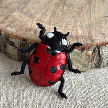 Load image into Gallery viewer, Beetles, bugs and spider brooches - Vikki Lafford Garside