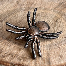 Load image into Gallery viewer, Beetles, bugs and spider brooches - Vikki Lafford Garside