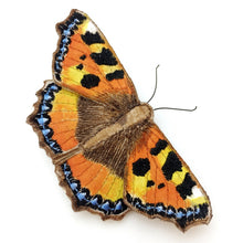 Load image into Gallery viewer, Butterfly / Moth Brooch - Vikki Lafford Garside