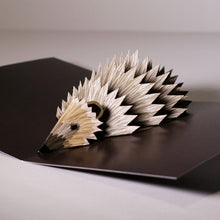 Load image into Gallery viewer, Pop-up card - Faye Stevens