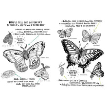 Load image into Gallery viewer, Hello Nature Activity Book - Nina Chakrabarti
