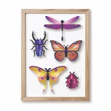 Load image into Gallery viewer, Assembli 3D Paper Puzzle - Insect Sets
