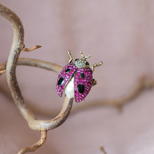 Load image into Gallery viewer, Bejewelled Insect Brooches - Bill Skinner Studio
