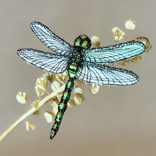 Load image into Gallery viewer, Dragonfly Brooch - Vikki Lafford Garside
