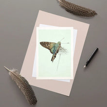 Load image into Gallery viewer, Greetings Cards - Ben Rothery
