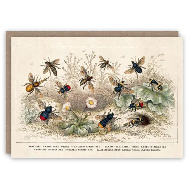 The Pattern Book Greetings Cards
