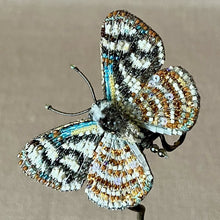 Load image into Gallery viewer, Embroidered Butterfly / Moth Brooch - Trovelore
