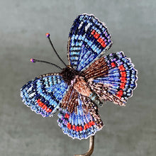 Load image into Gallery viewer, Embroidered Butterfly / Moth Brooch - Trovelore

