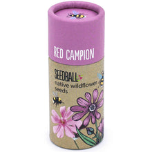 Load image into Gallery viewer, Wildflower Seedball Tube
