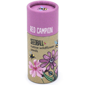 Wildflower Seedball Tube