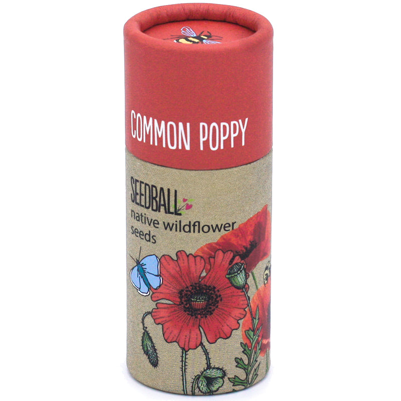 Wildflower Seedball Tube