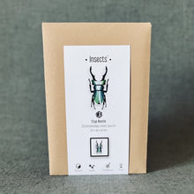 Load image into Gallery viewer, Assembli 3D Paper Puzzle - Beetle
