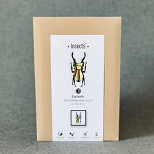 Load image into Gallery viewer, Assembli 3D Paper Puzzle - Beetle
