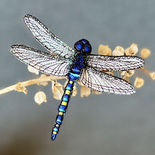 Load image into Gallery viewer, Dragonfly Brooch - Vikki Lafford Garside
