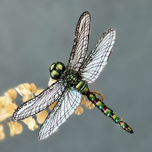 Load image into Gallery viewer, Dragonfly Brooch - Vikki Lafford Garside
