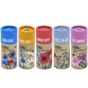 Wildflower Seedball Tube