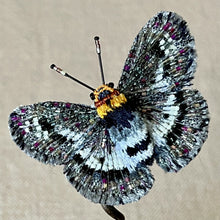 Load image into Gallery viewer, Embroidered Butterfly / Moth Brooch - Trovelore

