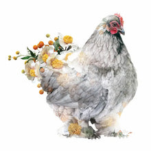 Load image into Gallery viewer, Greetings Cards - Lola Design
