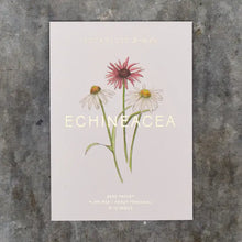 Load image into Gallery viewer, Garden seeds - Botanique Workshop
