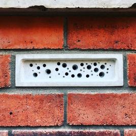 Bee Brick - Green & Blue