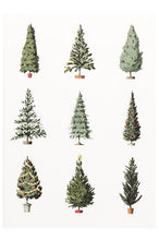 Load image into Gallery viewer, Christmas Cards (Ten Pack) - Laura Stoddart
