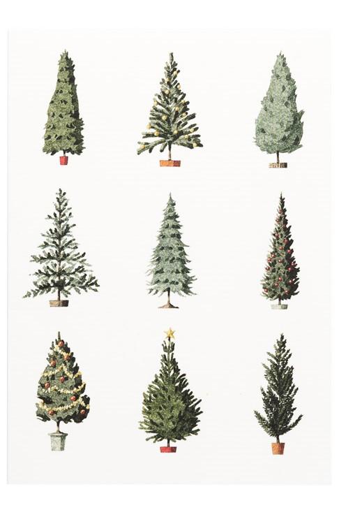 Christmas Cards (Ten Pack) - Laura Stoddart
