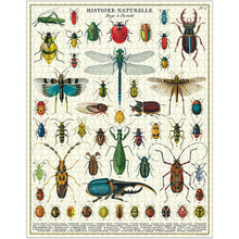Load image into Gallery viewer, 1000 Piece Puzzle - Cavallini &amp; Co
