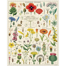 Load image into Gallery viewer, 1000 Piece Puzzle - Cavallini &amp; Co
