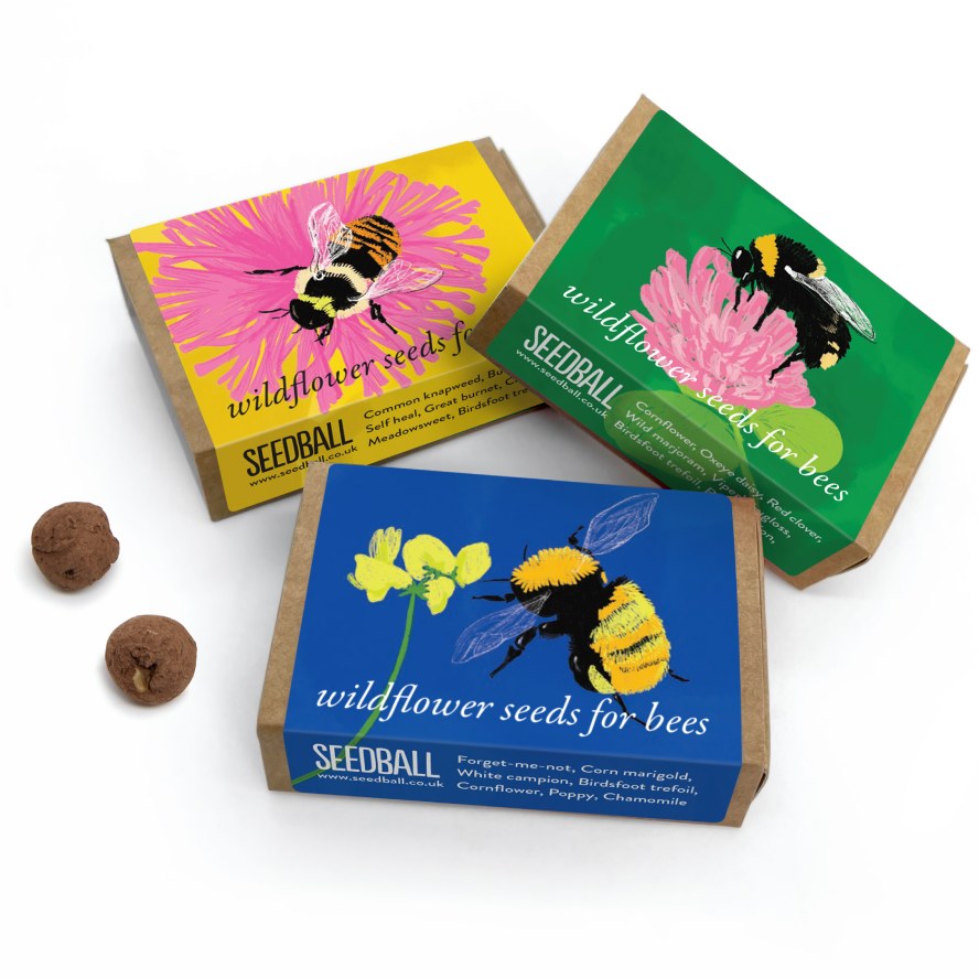 Bumblebee Wildflower Seedball Box
